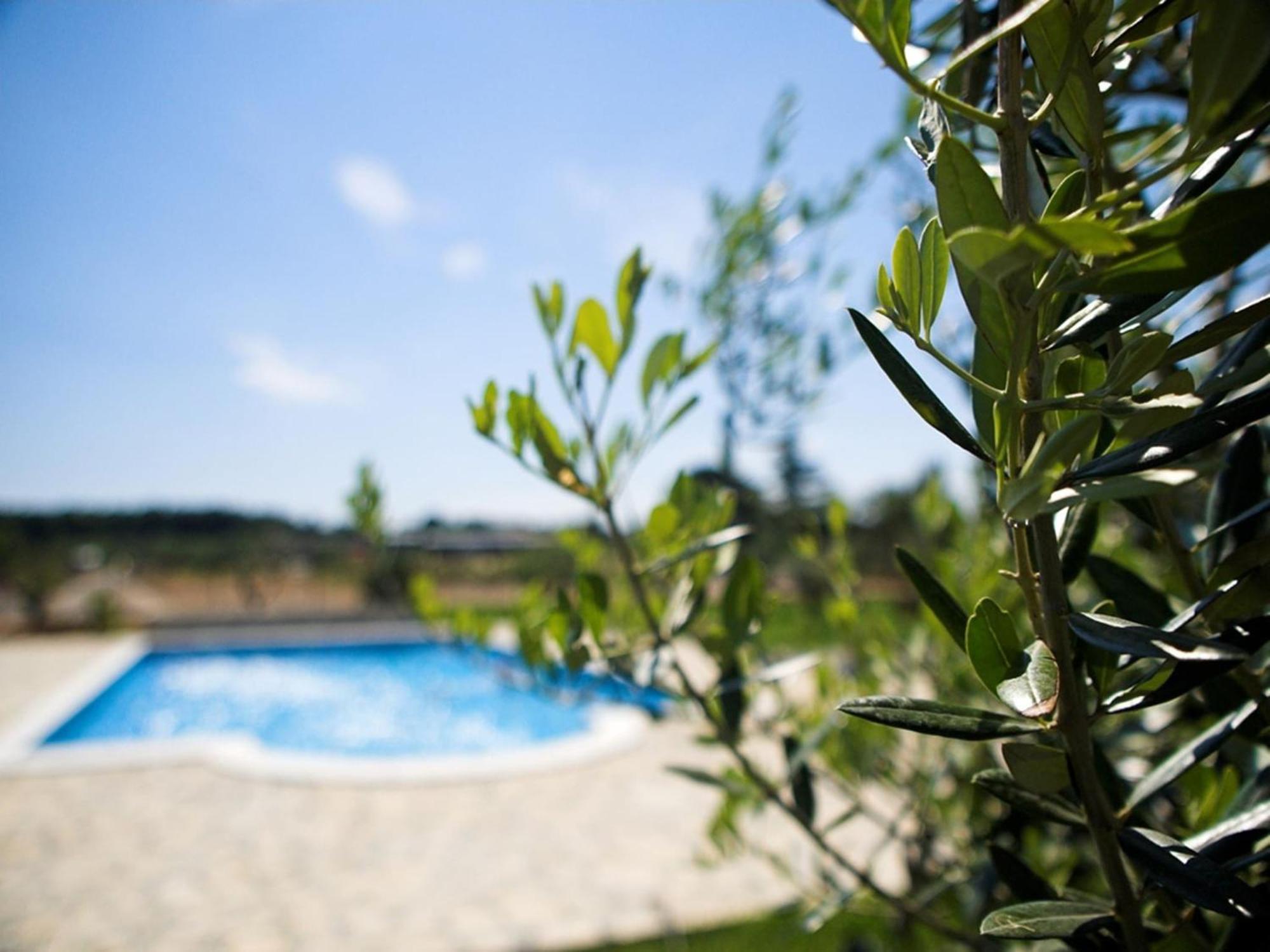 Marceta - Apartments & Rooms With Swimming Pool Fažana Eksteriør billede