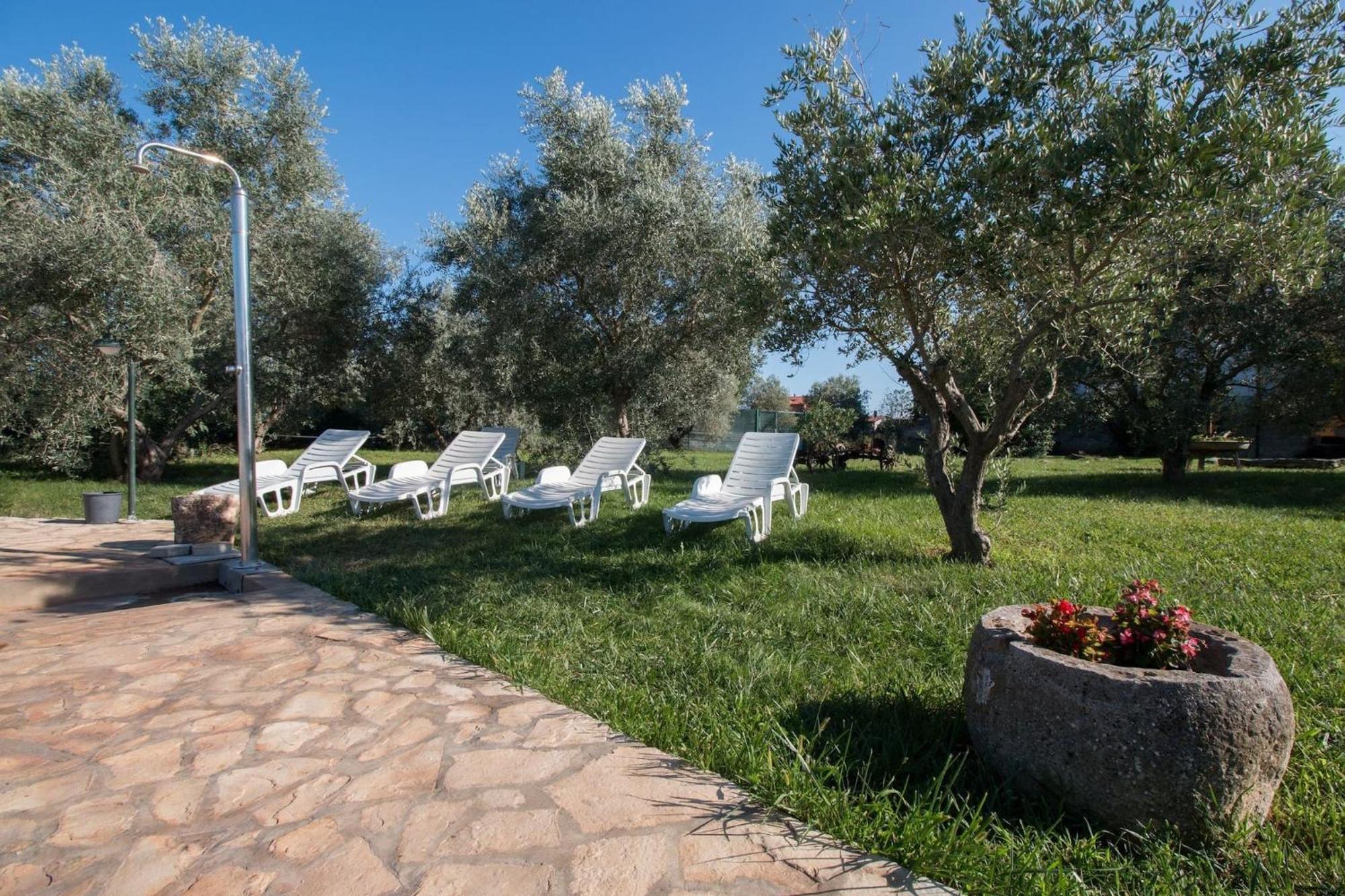 Marceta - Apartments & Rooms With Swimming Pool Fažana Eksteriør billede